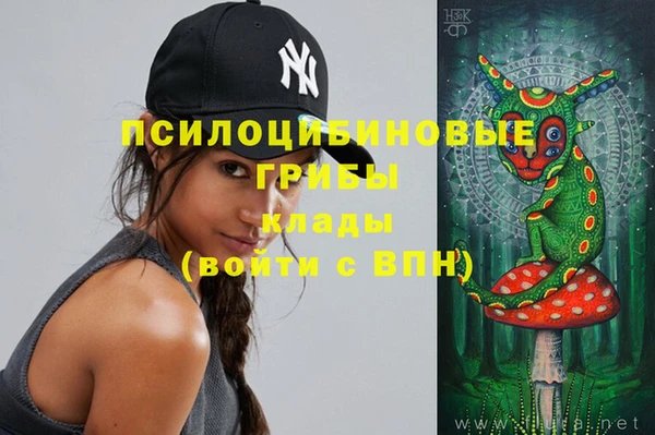 винт Ладушкин