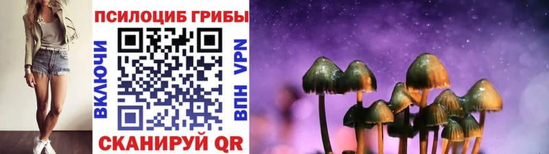 что такое наркотик  Новопавловск  Псилоцибиновые грибы Magic Shrooms 