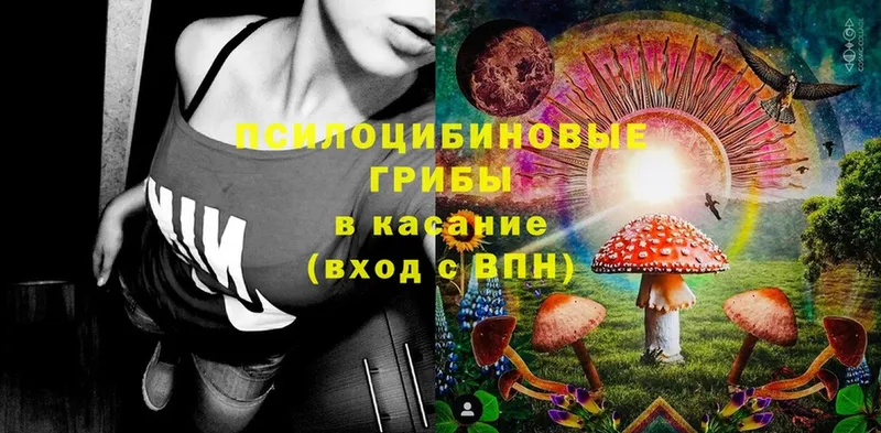 Псилоцибиновые грибы Magic Shrooms  наркота  Новопавловск 